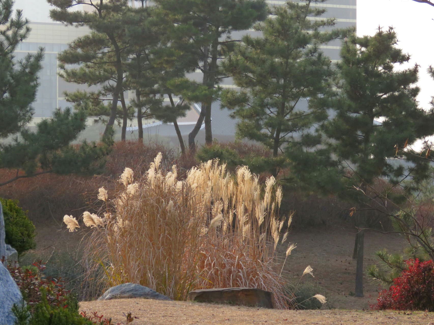 Landscaping