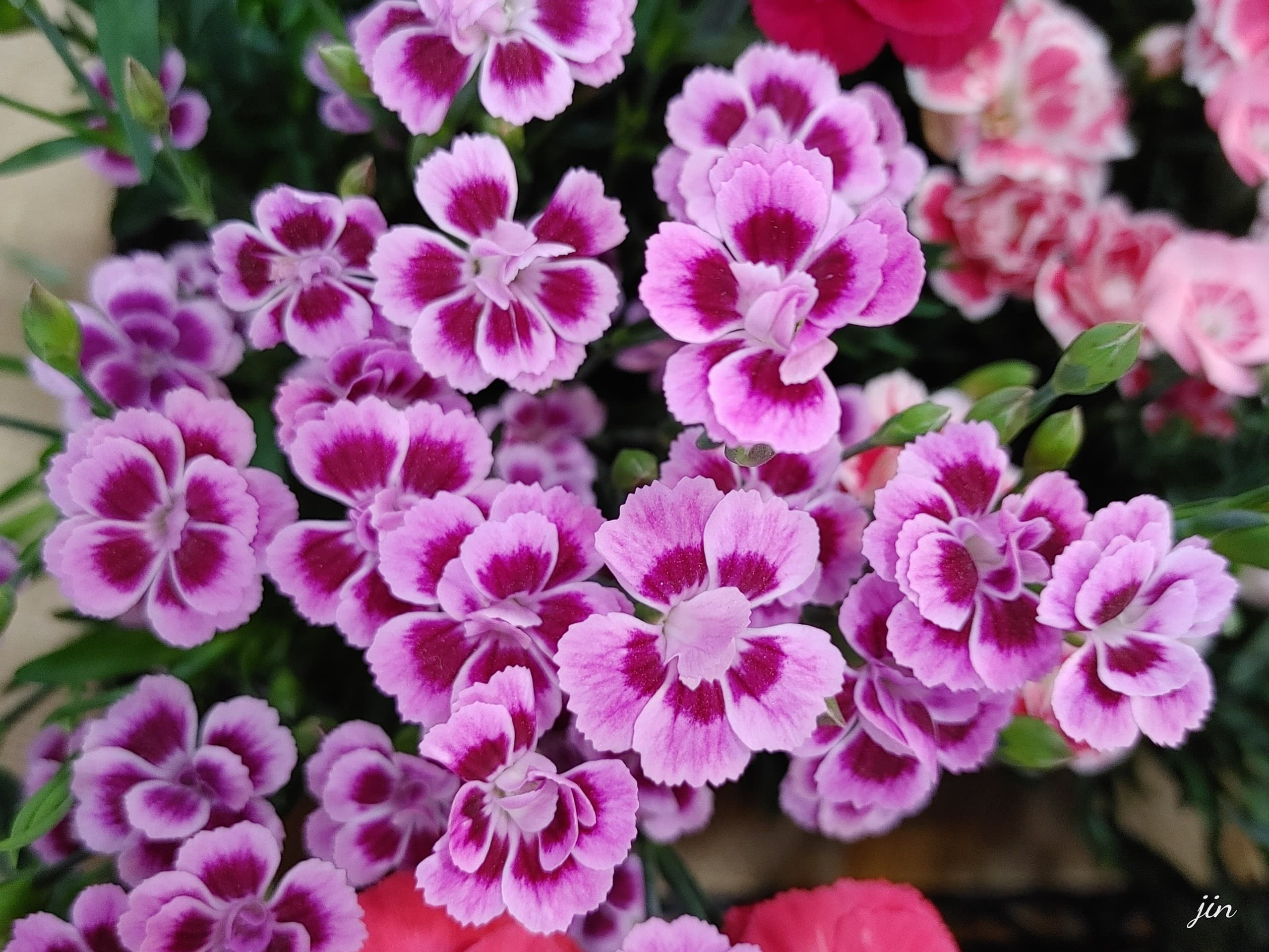 .