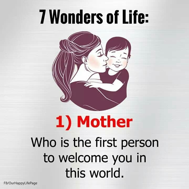 seven wonders