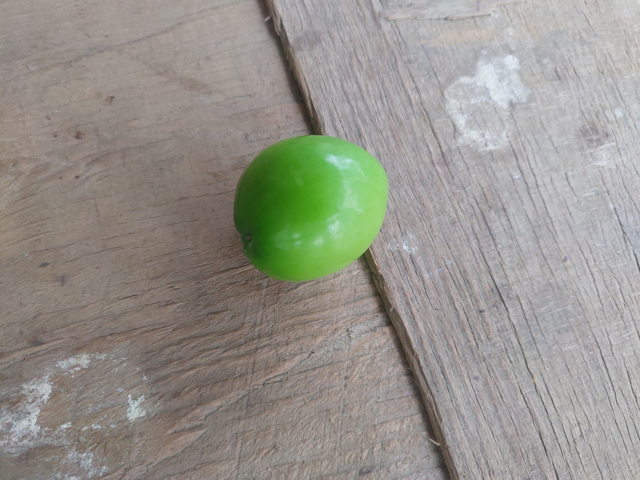 fruit