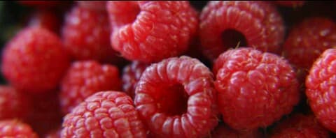 framboises