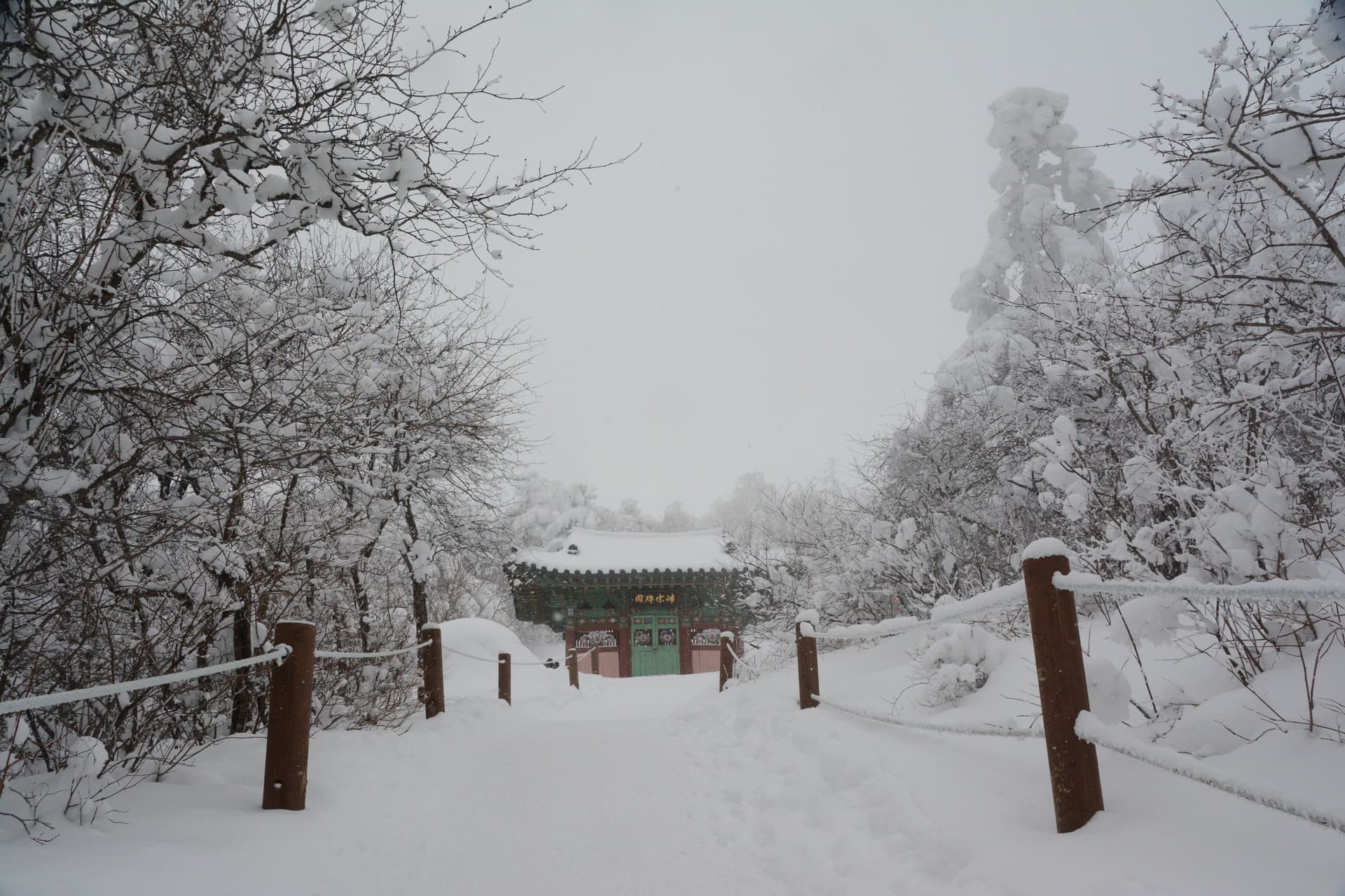 태백산이미지