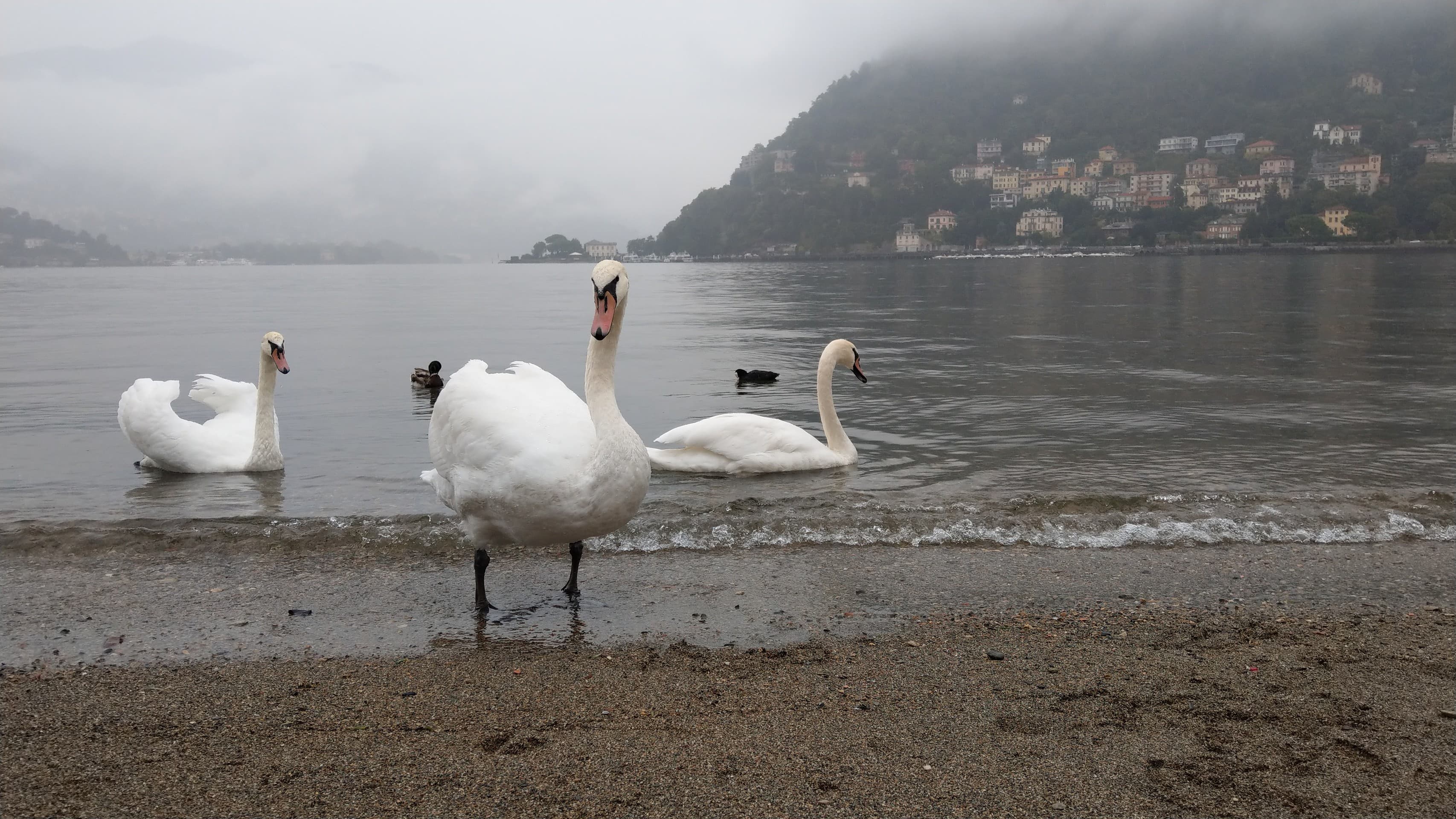 como