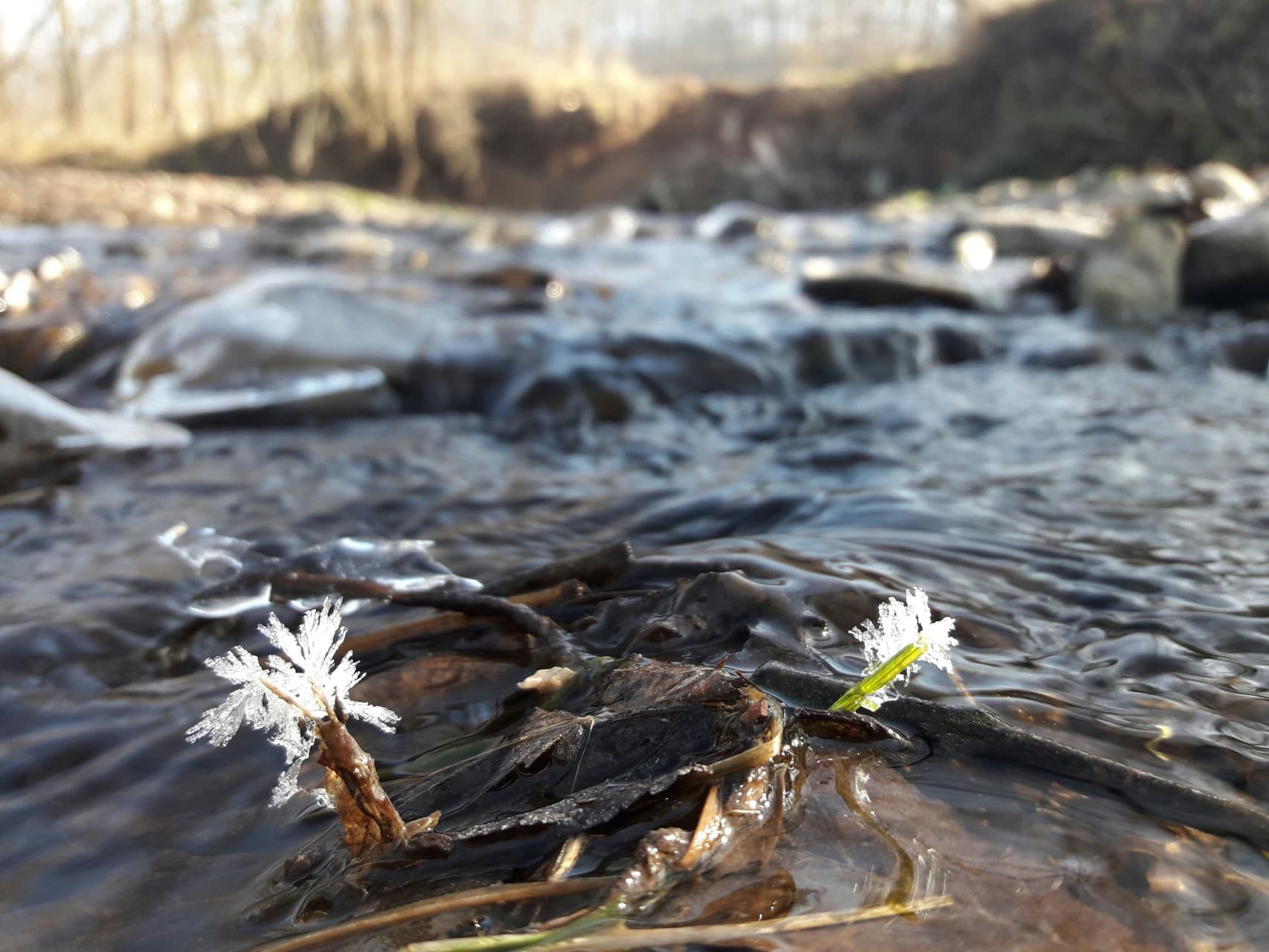 River