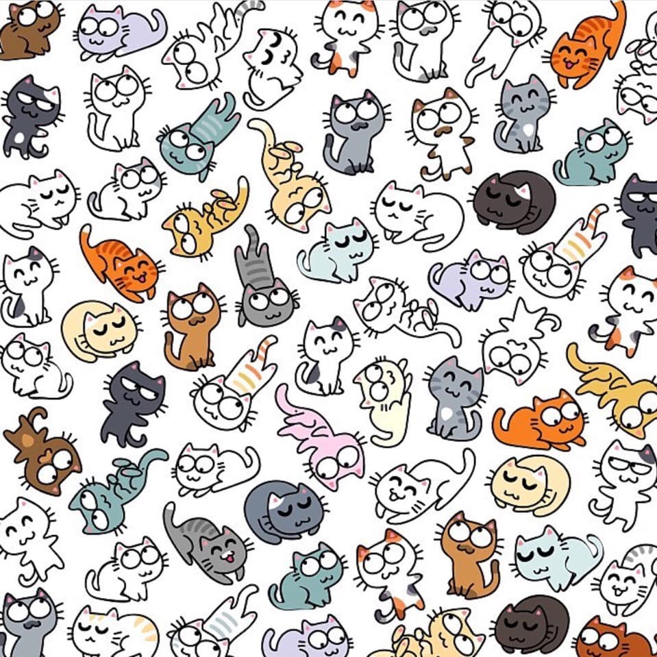 обои с котиками