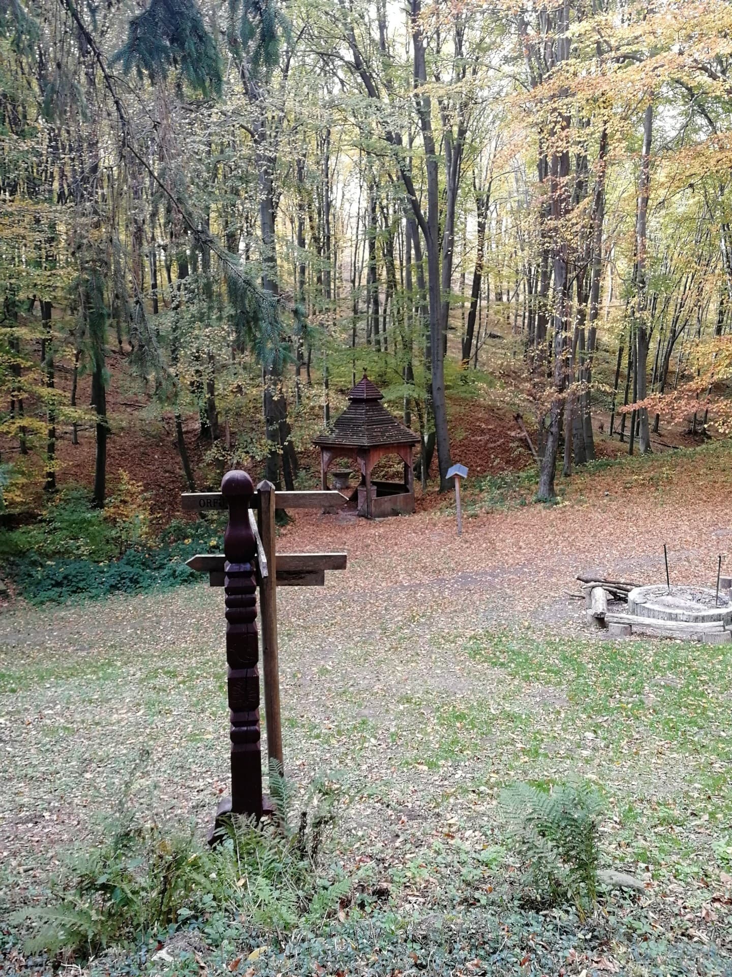 wald