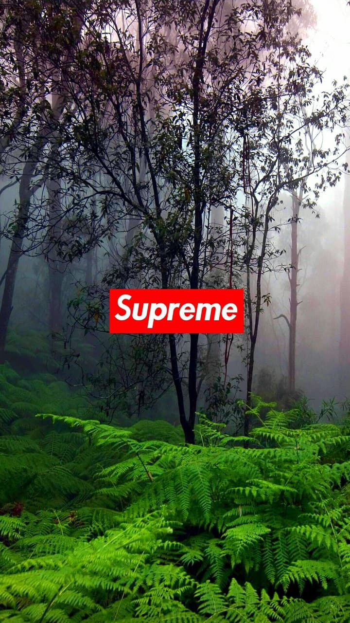 Supreme