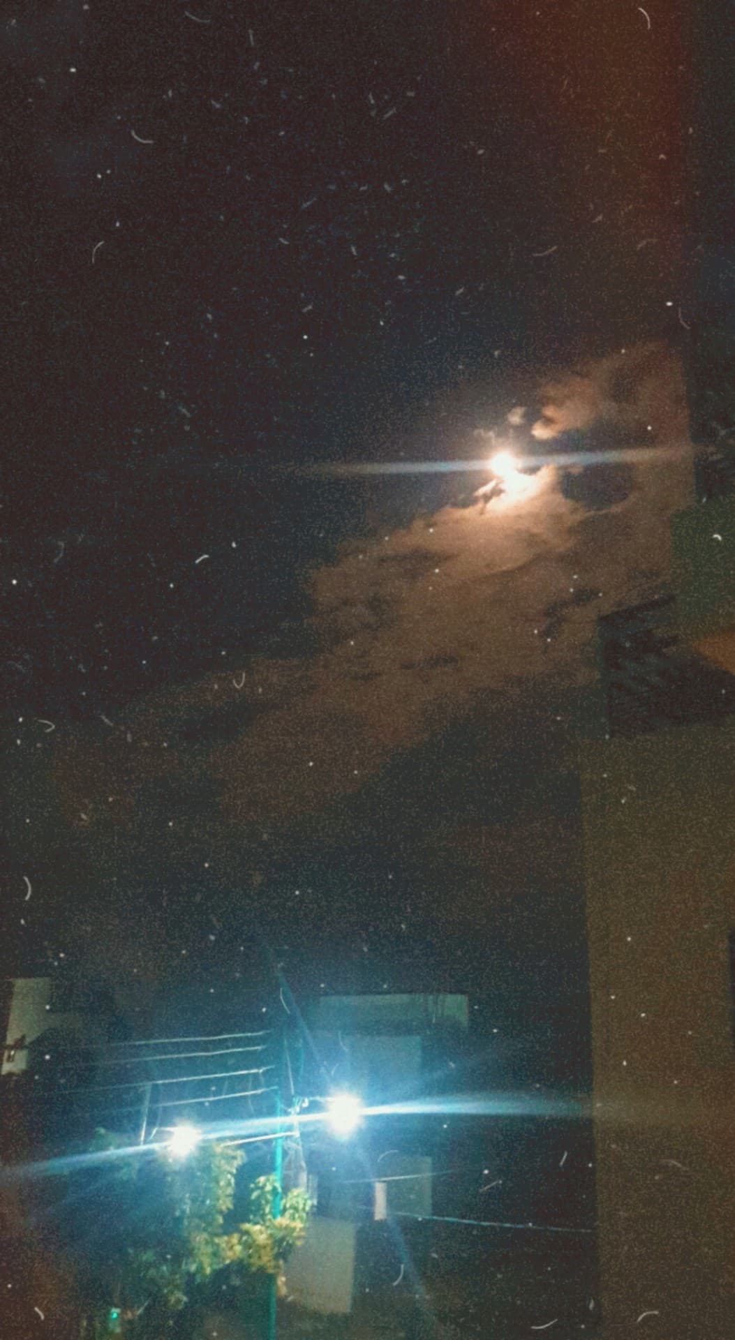 moon light
