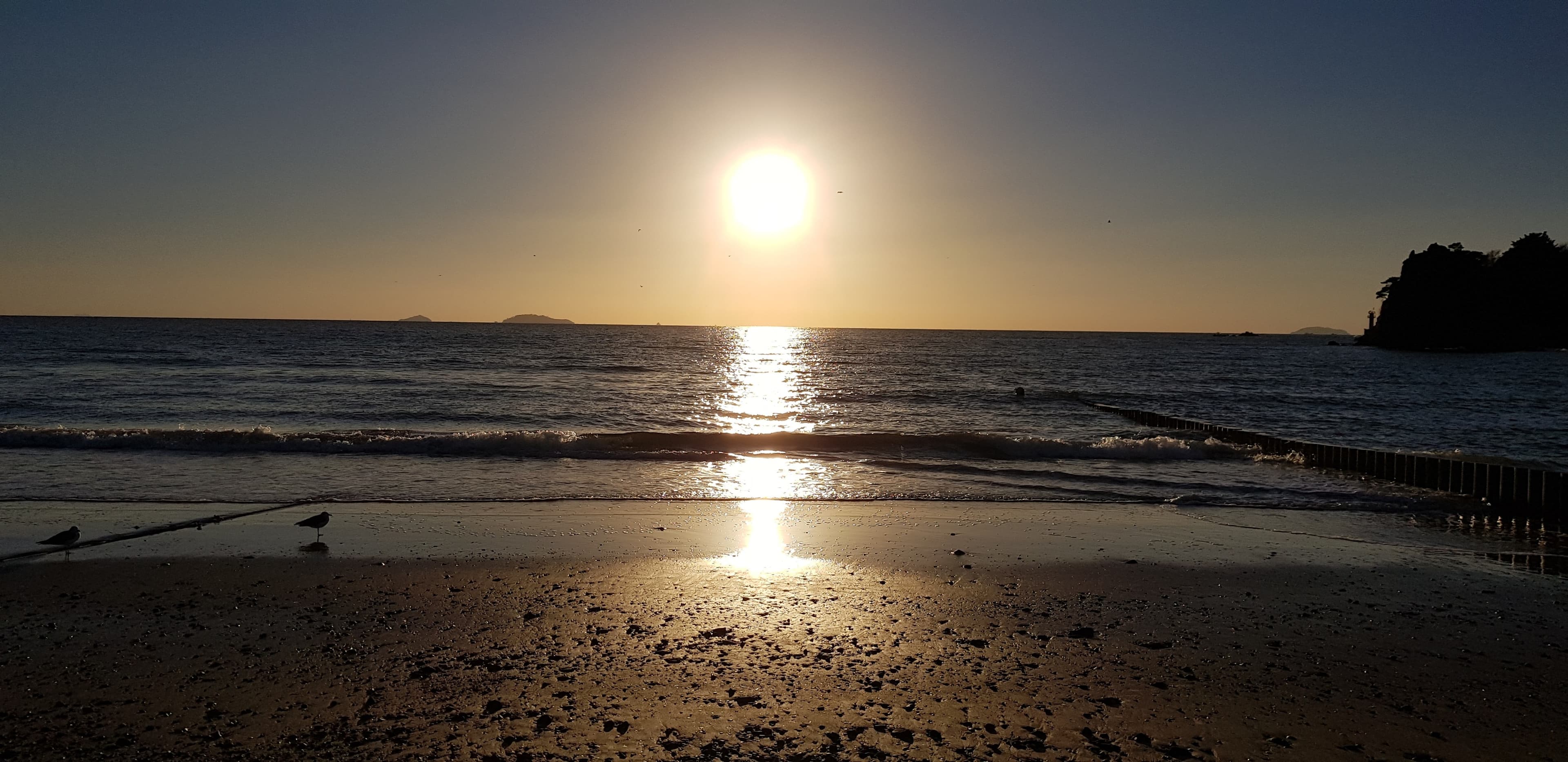 Sun