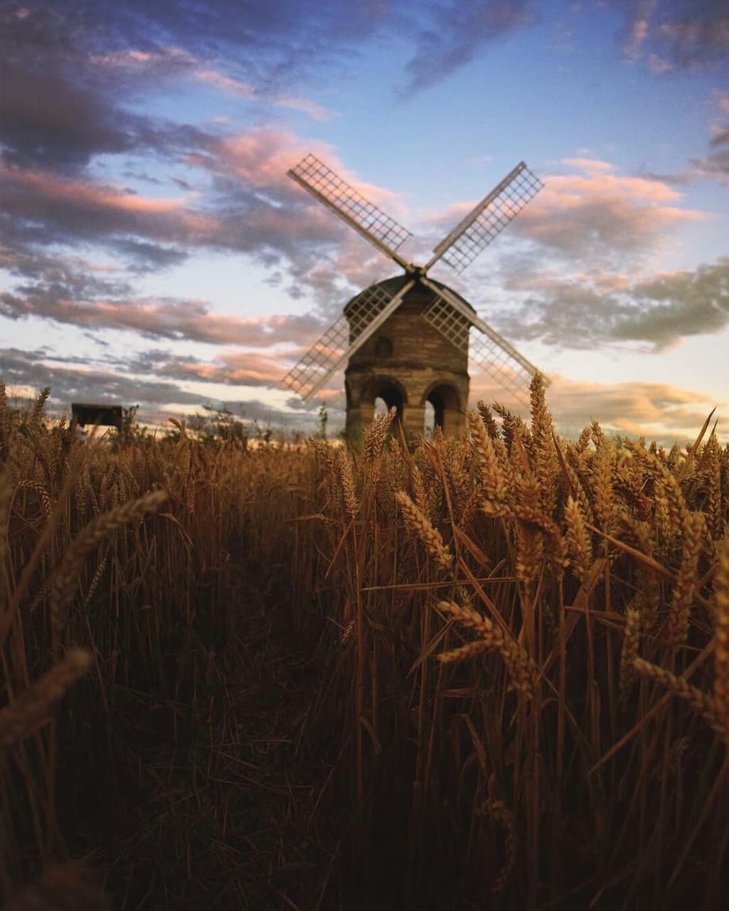 #wind#wind mill#farm#wheat