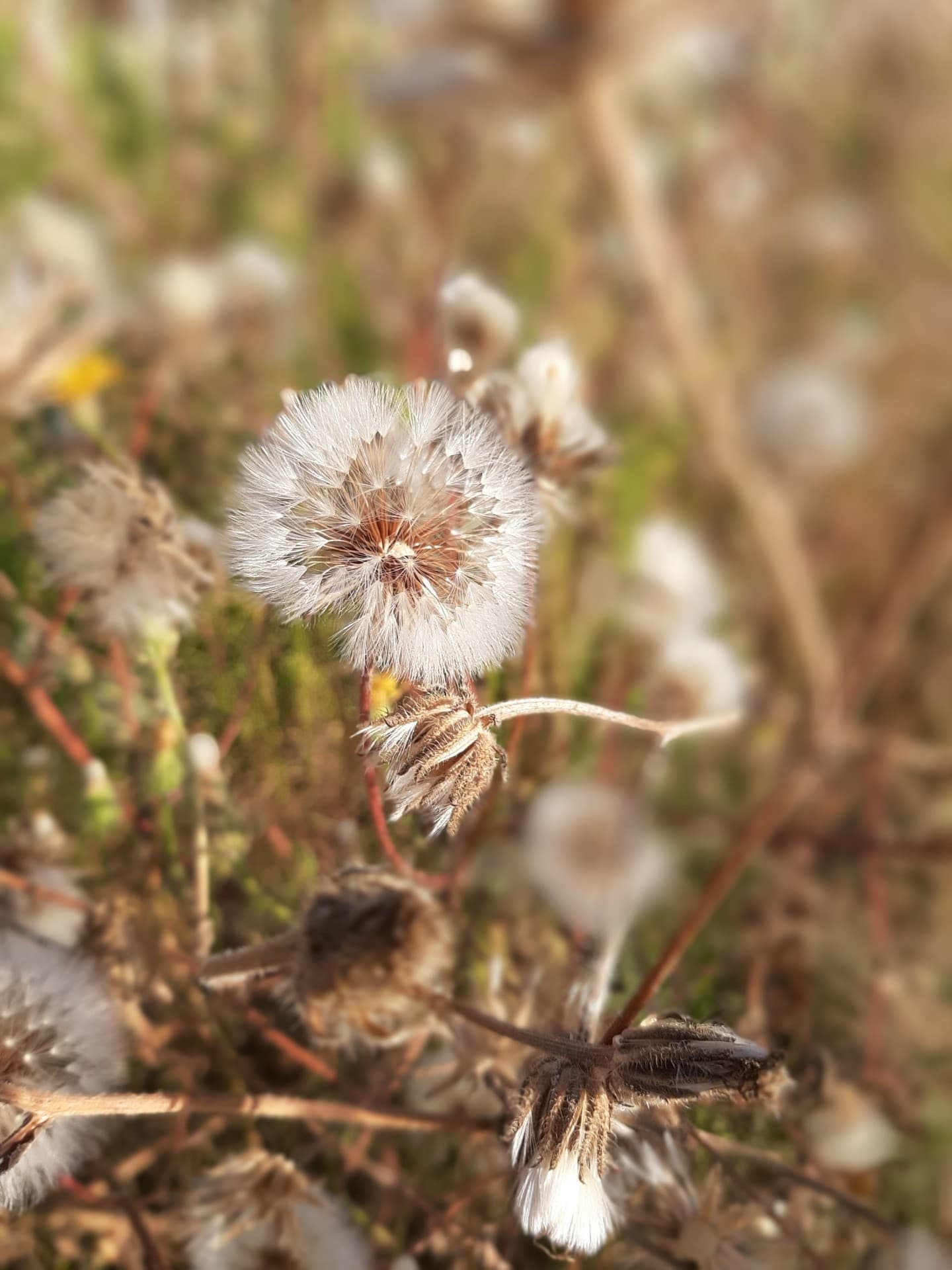 August