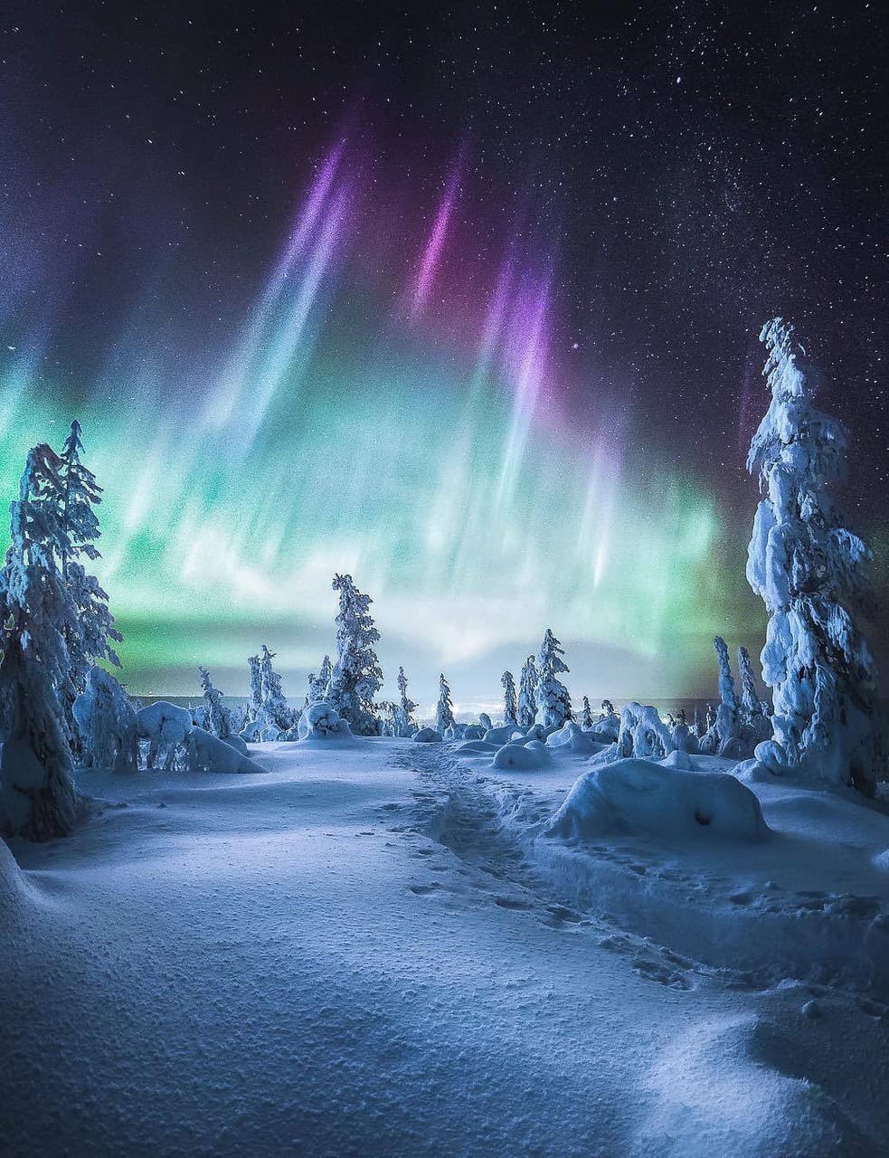 aurora