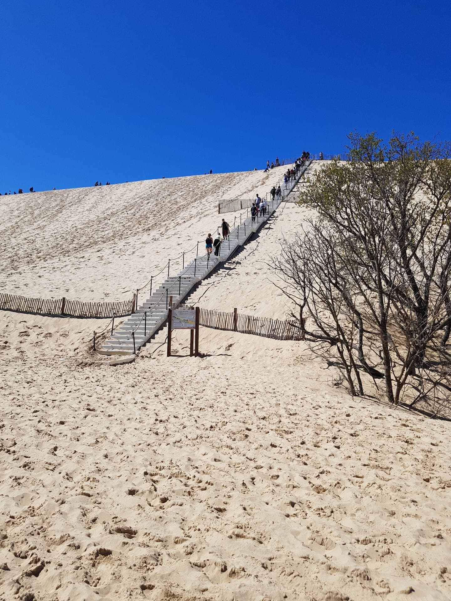 dune du Pilat