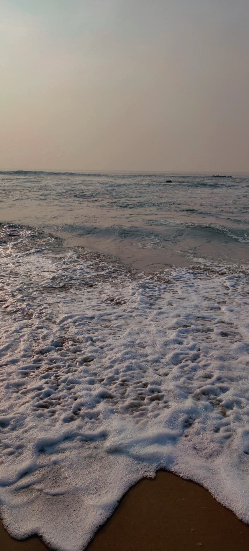 Shore