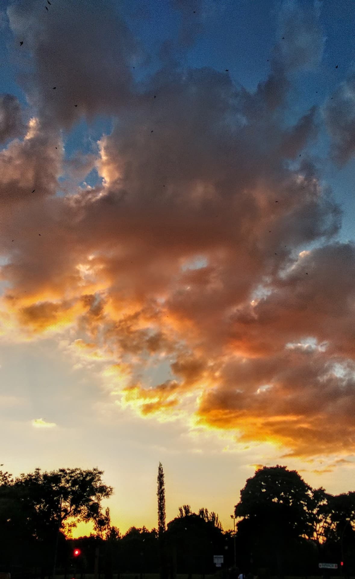Atardecer ??