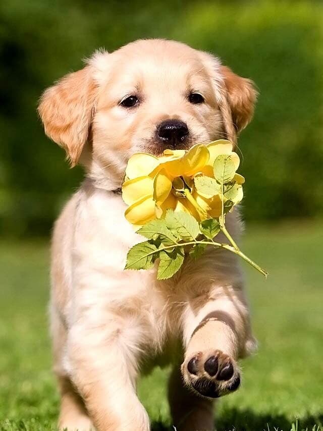 ??