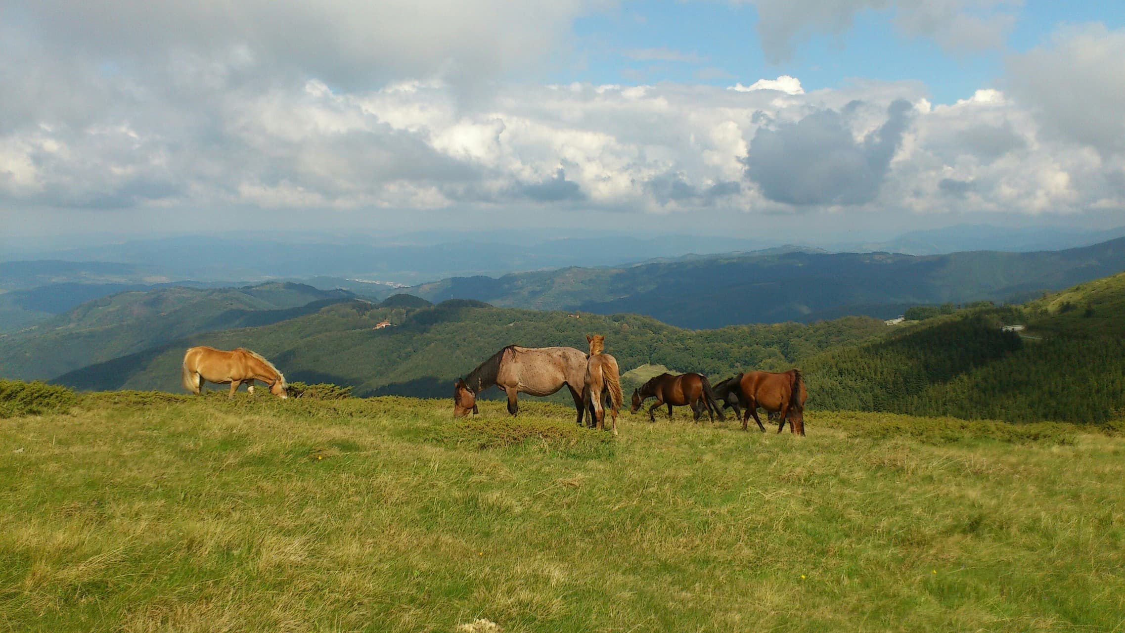 Beauty of Bulgaria