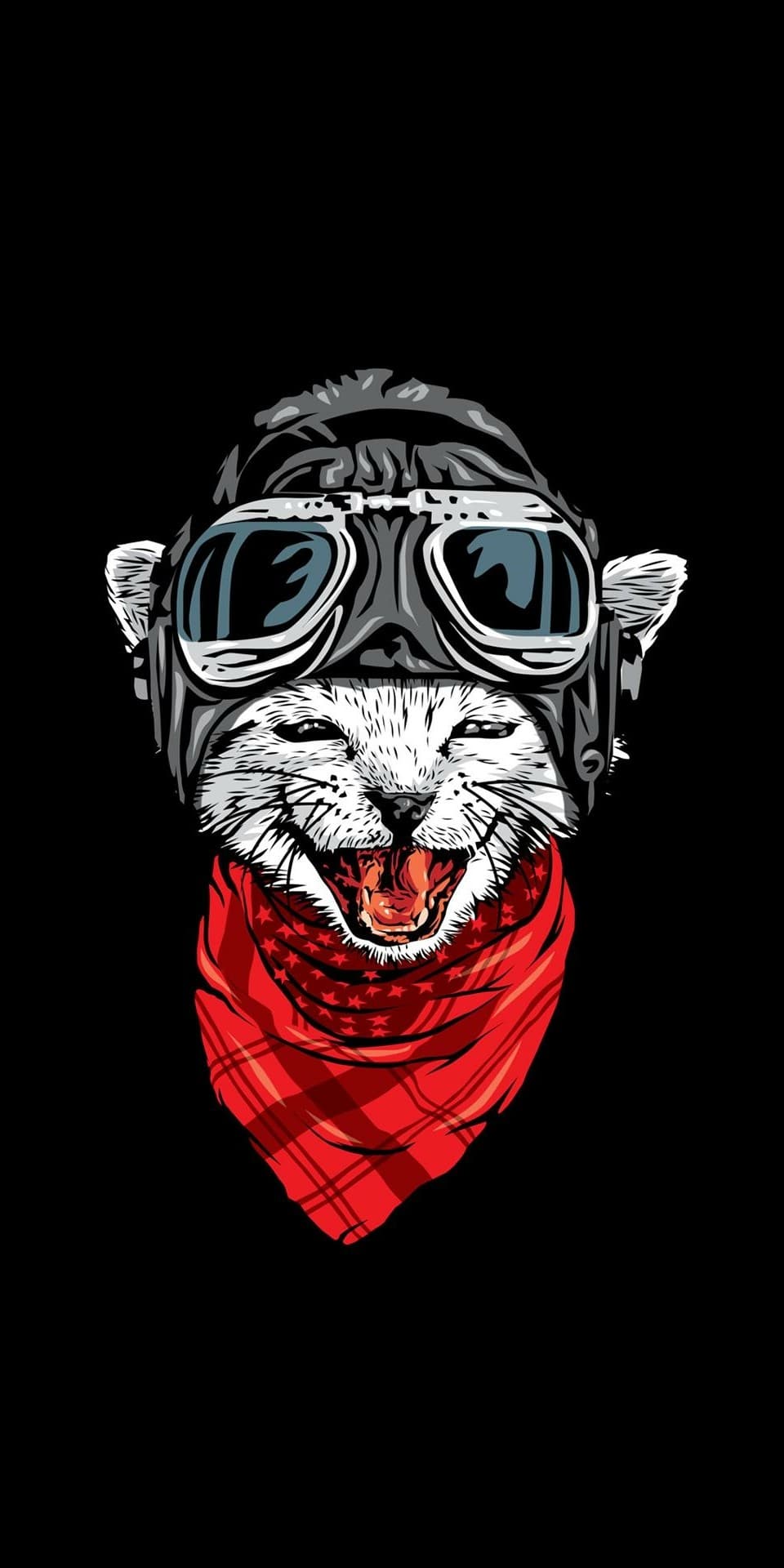 laughing cat