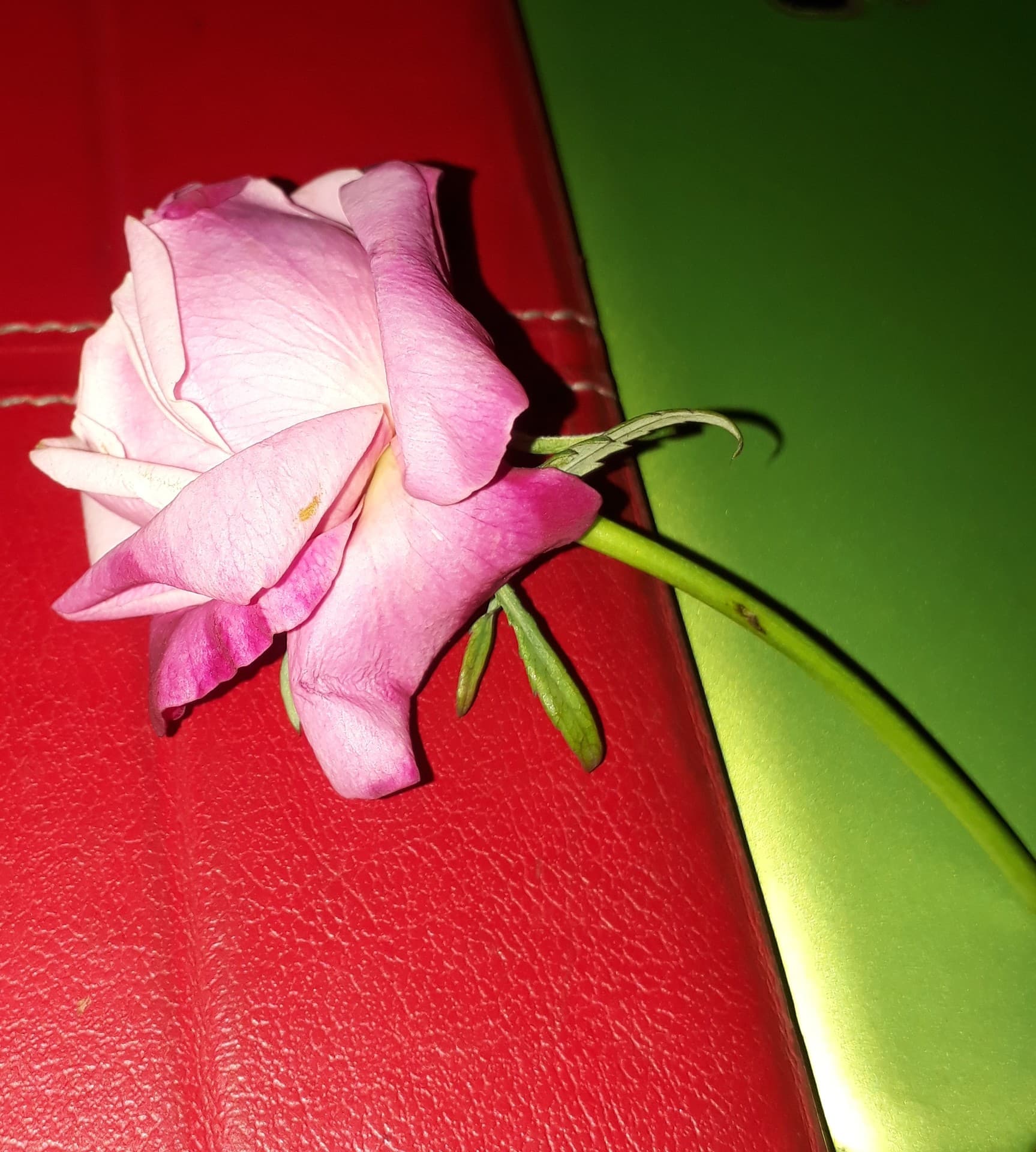 May Valentine❤❤
