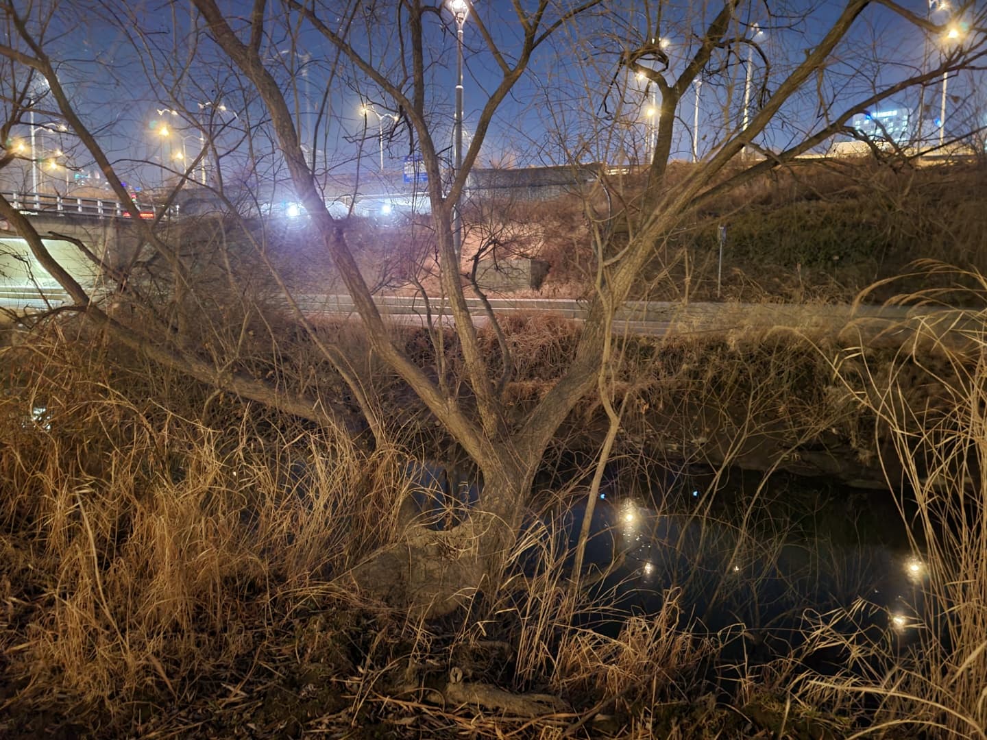 riverside