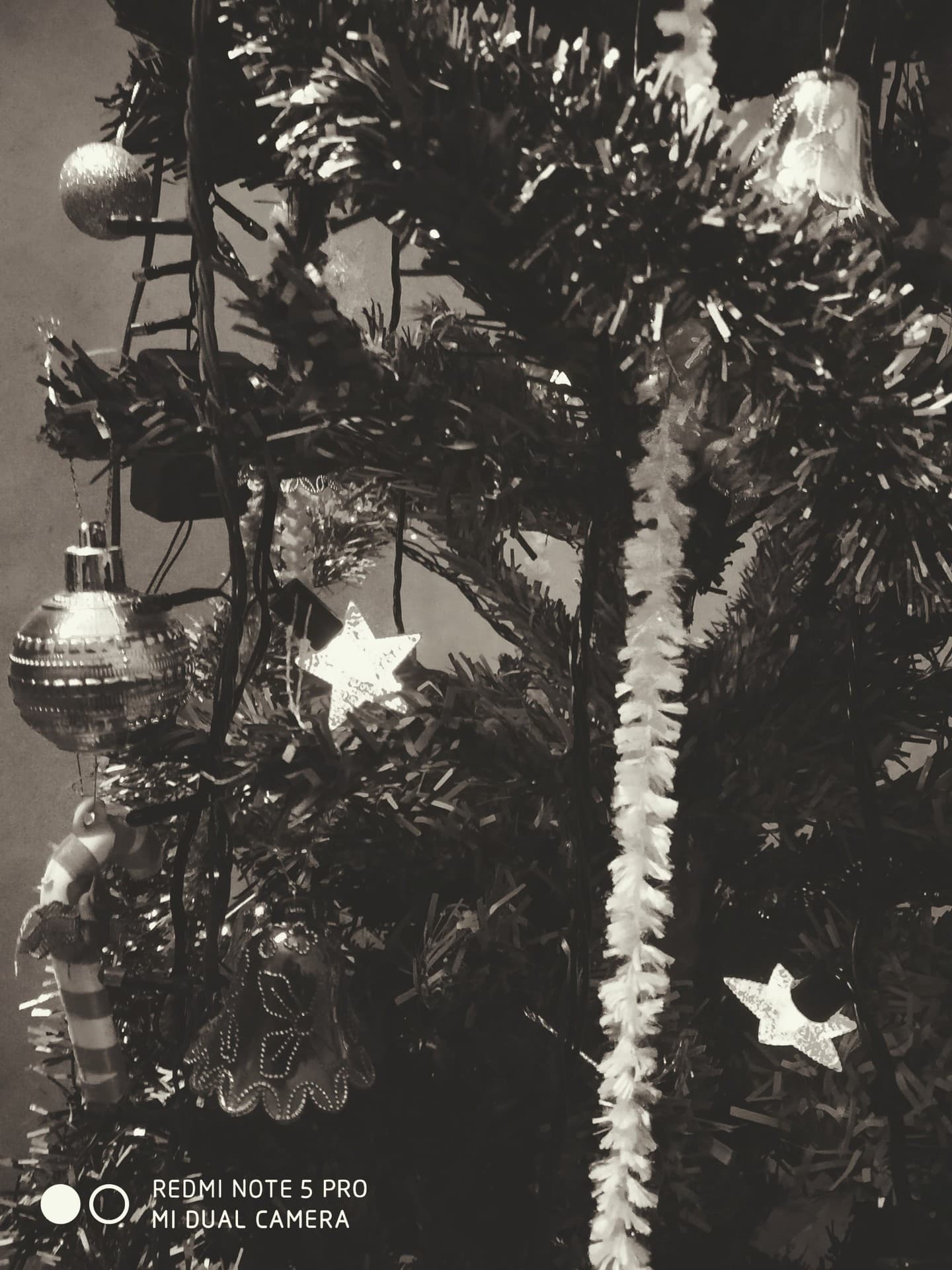 Christmas