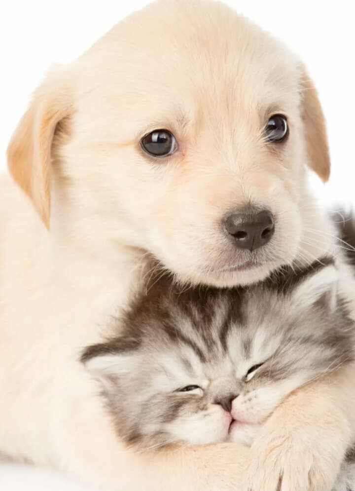friends...♡