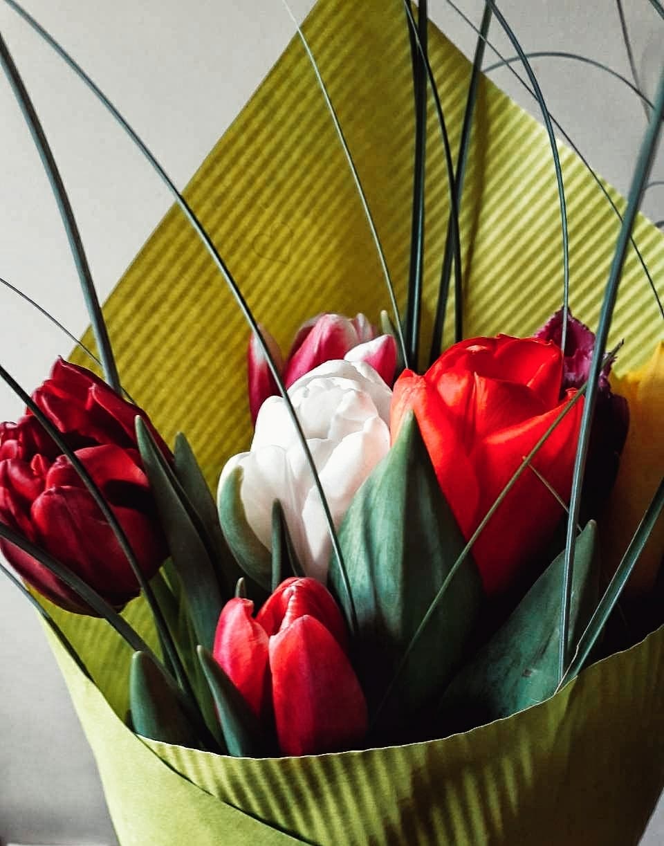 Bouquet of tulips