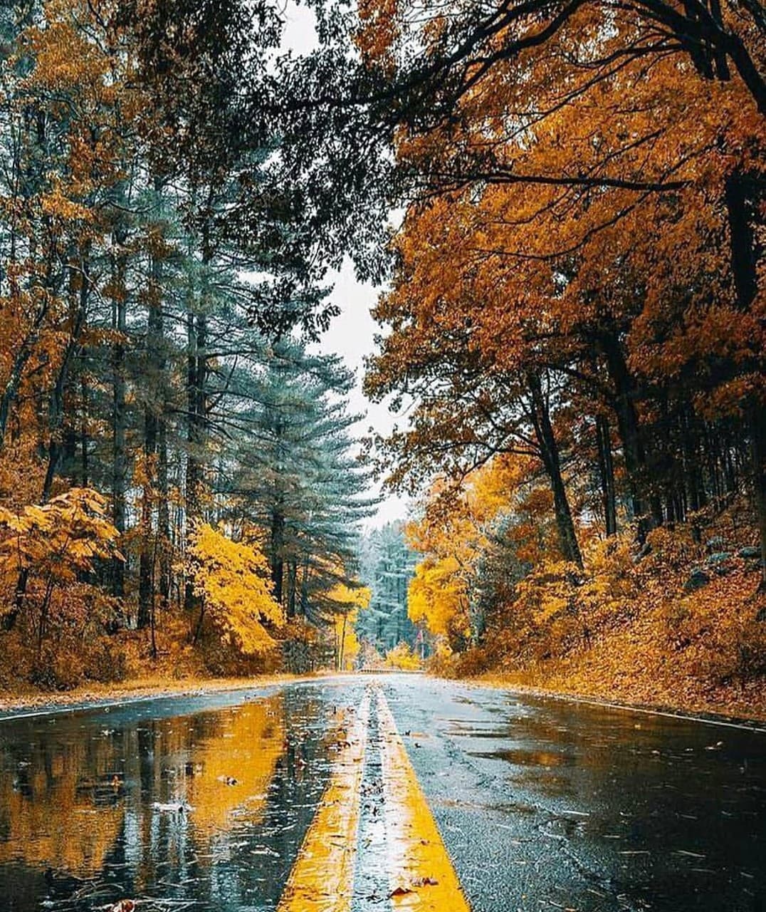 natural beauty