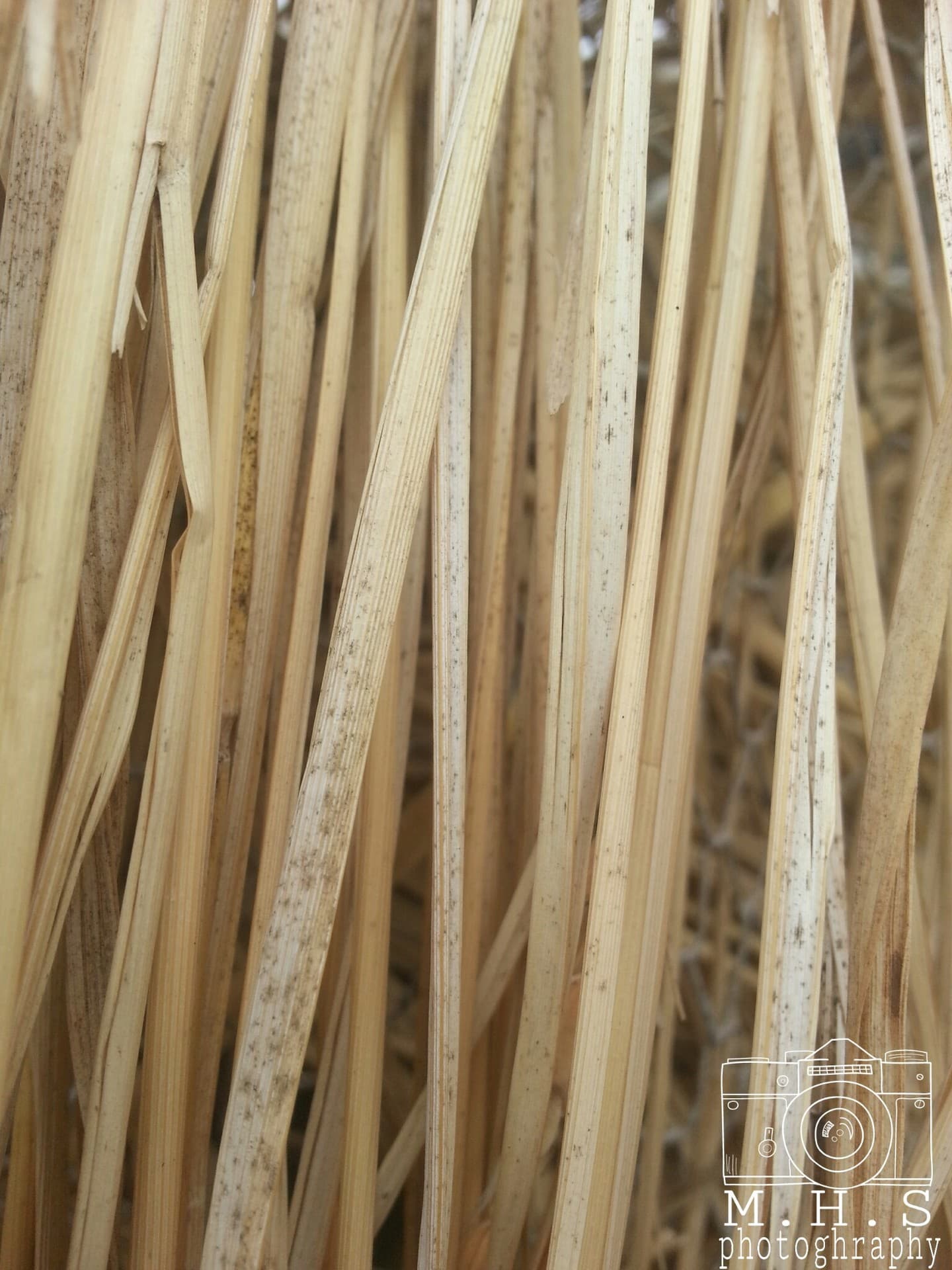 straw