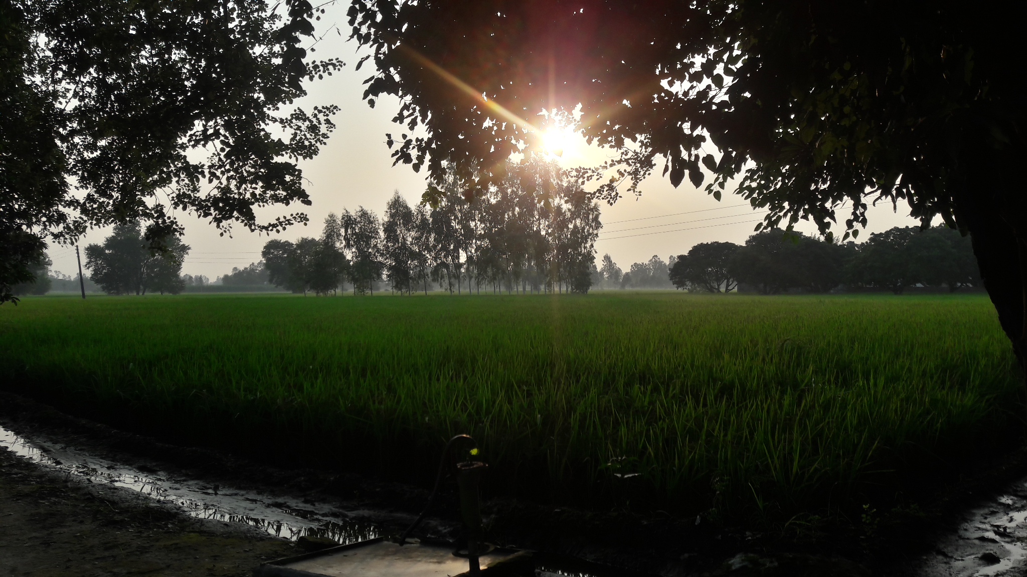 sun rise