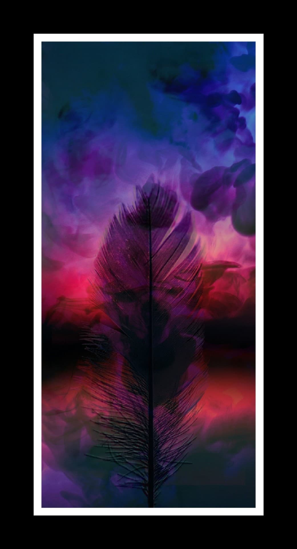 Quill