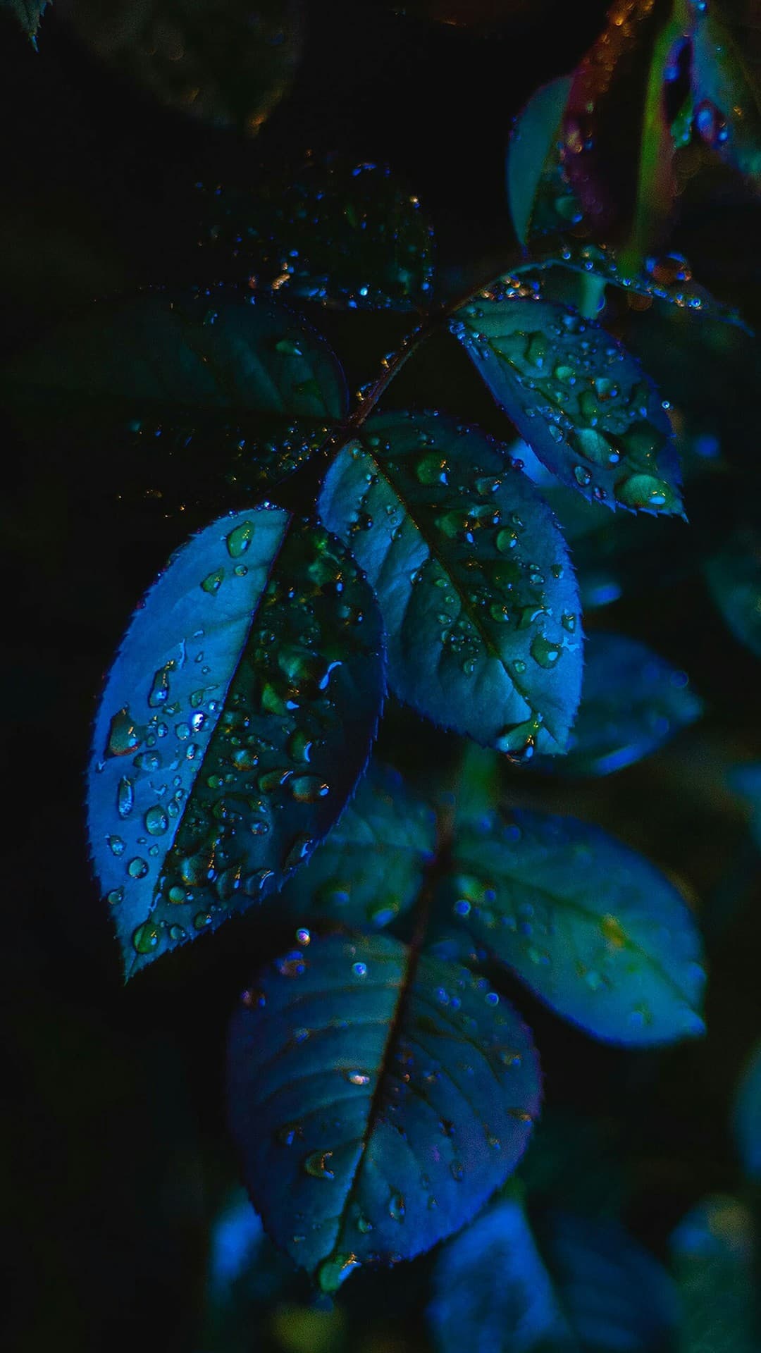 blue