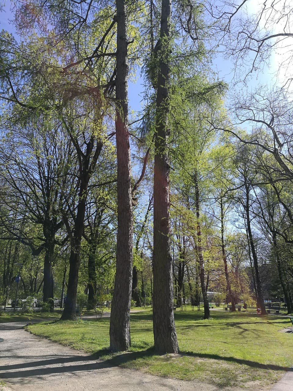 park innsbruck