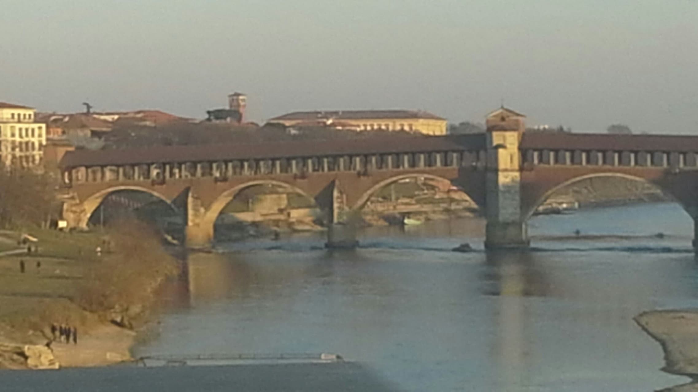 Italyi