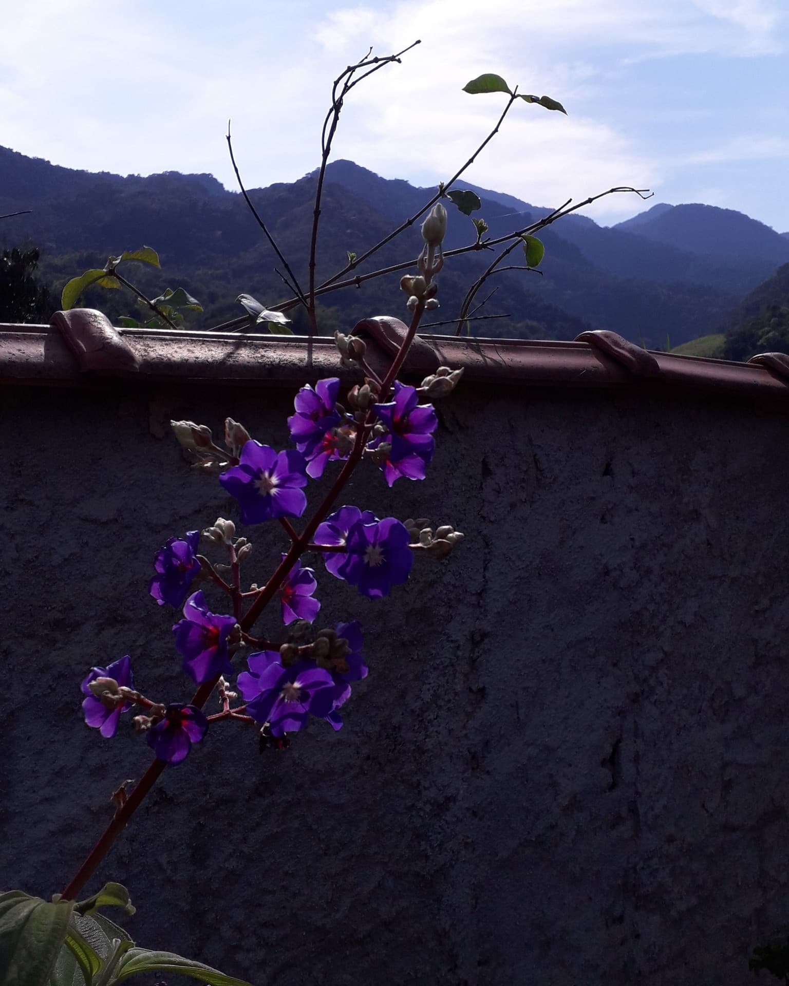 natureza