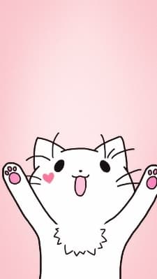 Котик