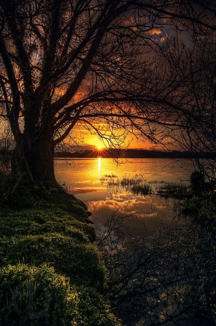 ♡ Sunset ♡