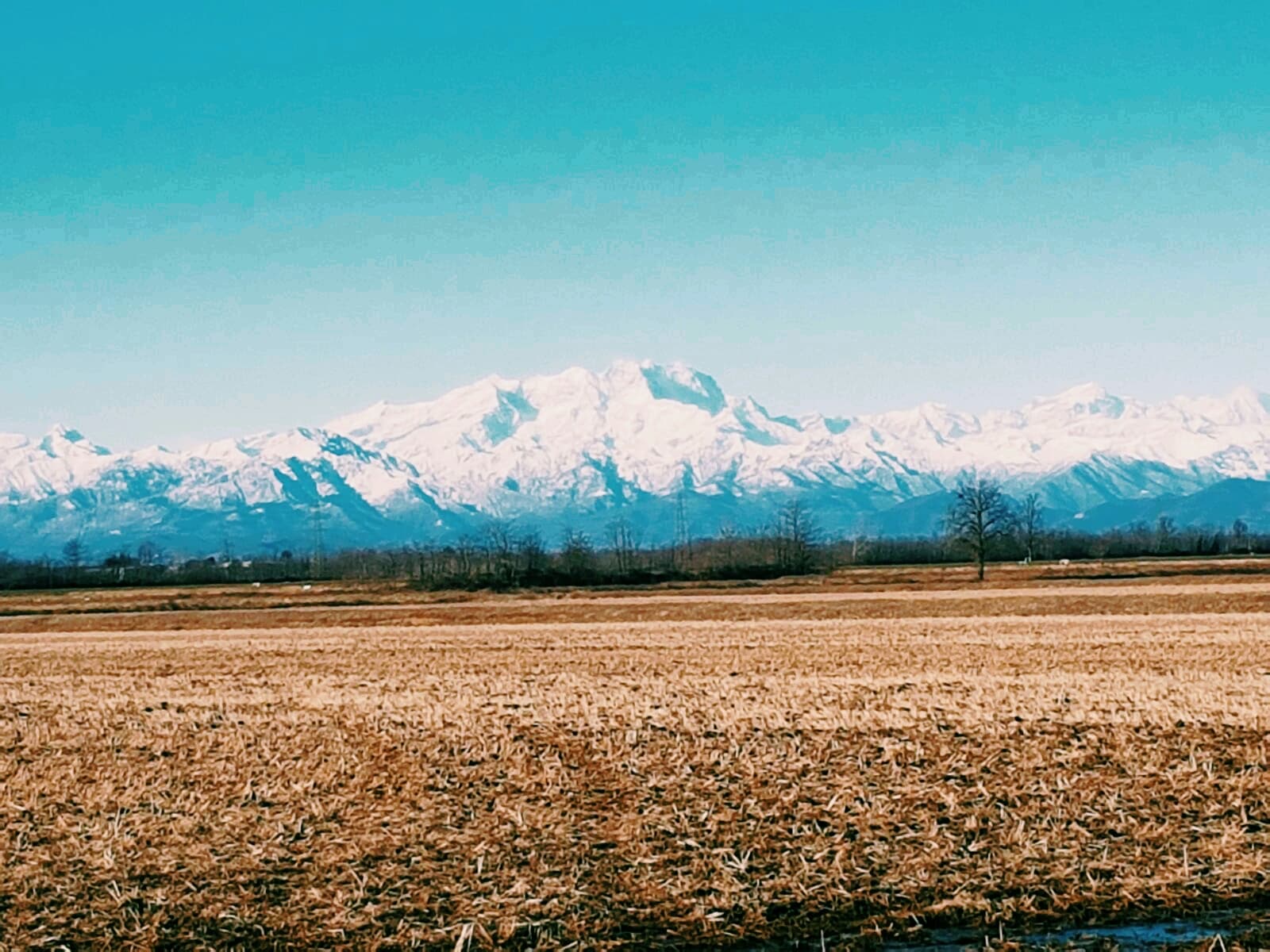 west