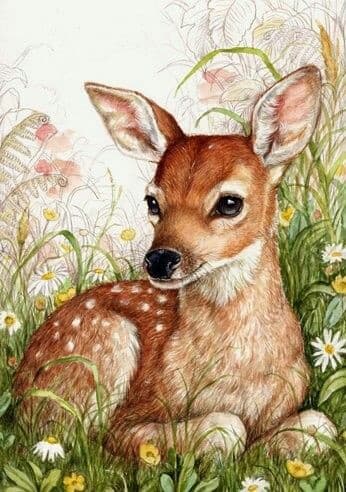 bambi