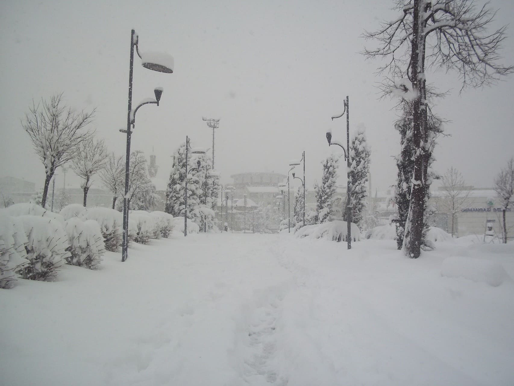 Snow Road