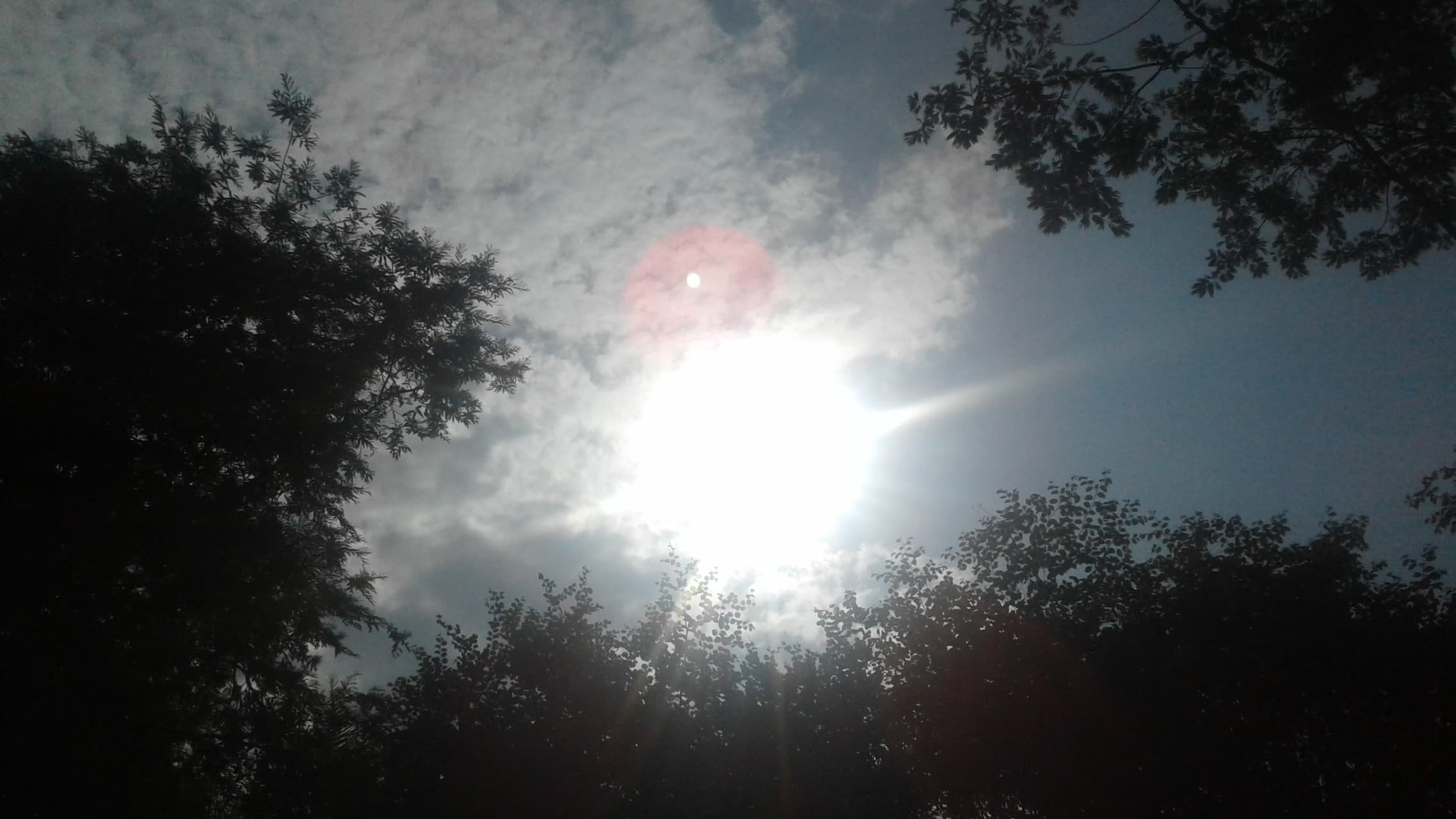 sunny day