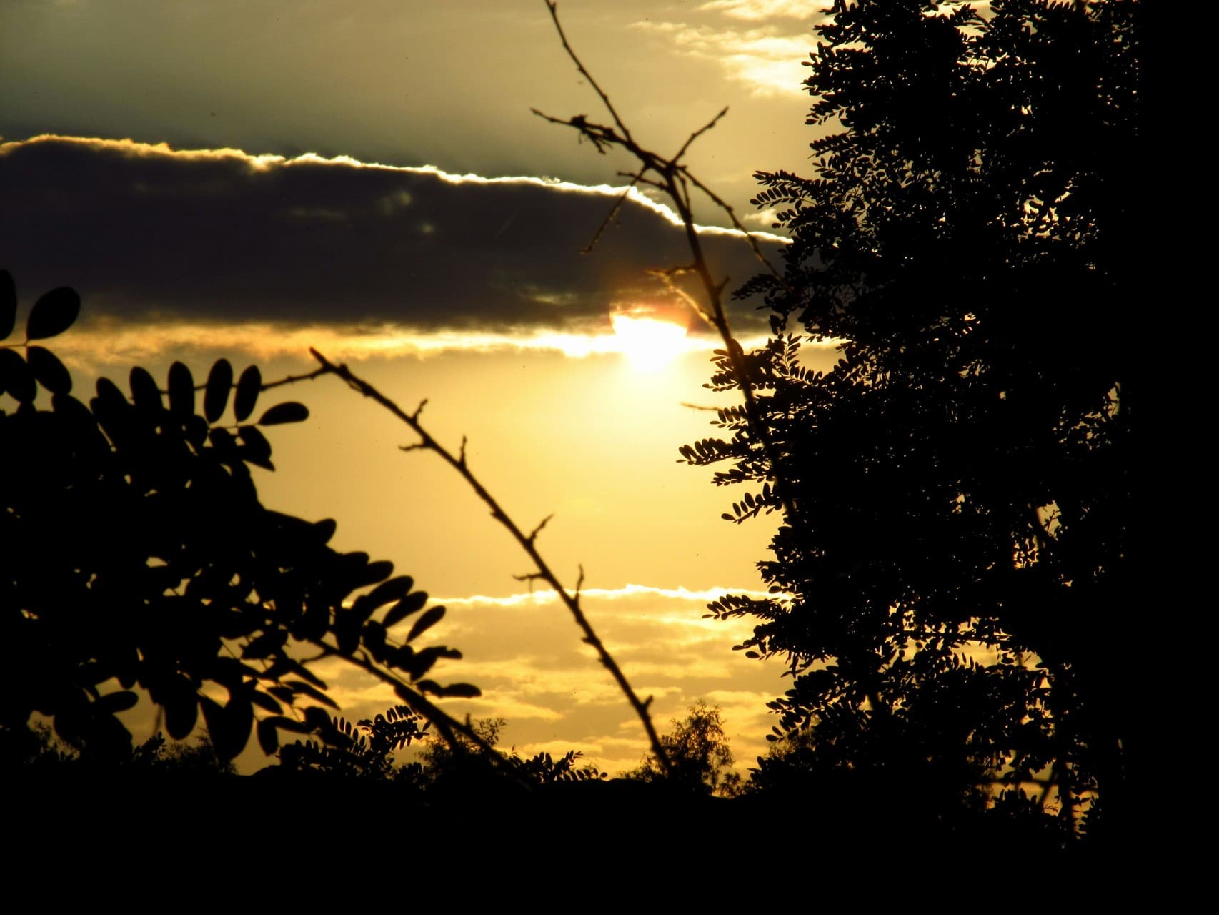 Evening sun