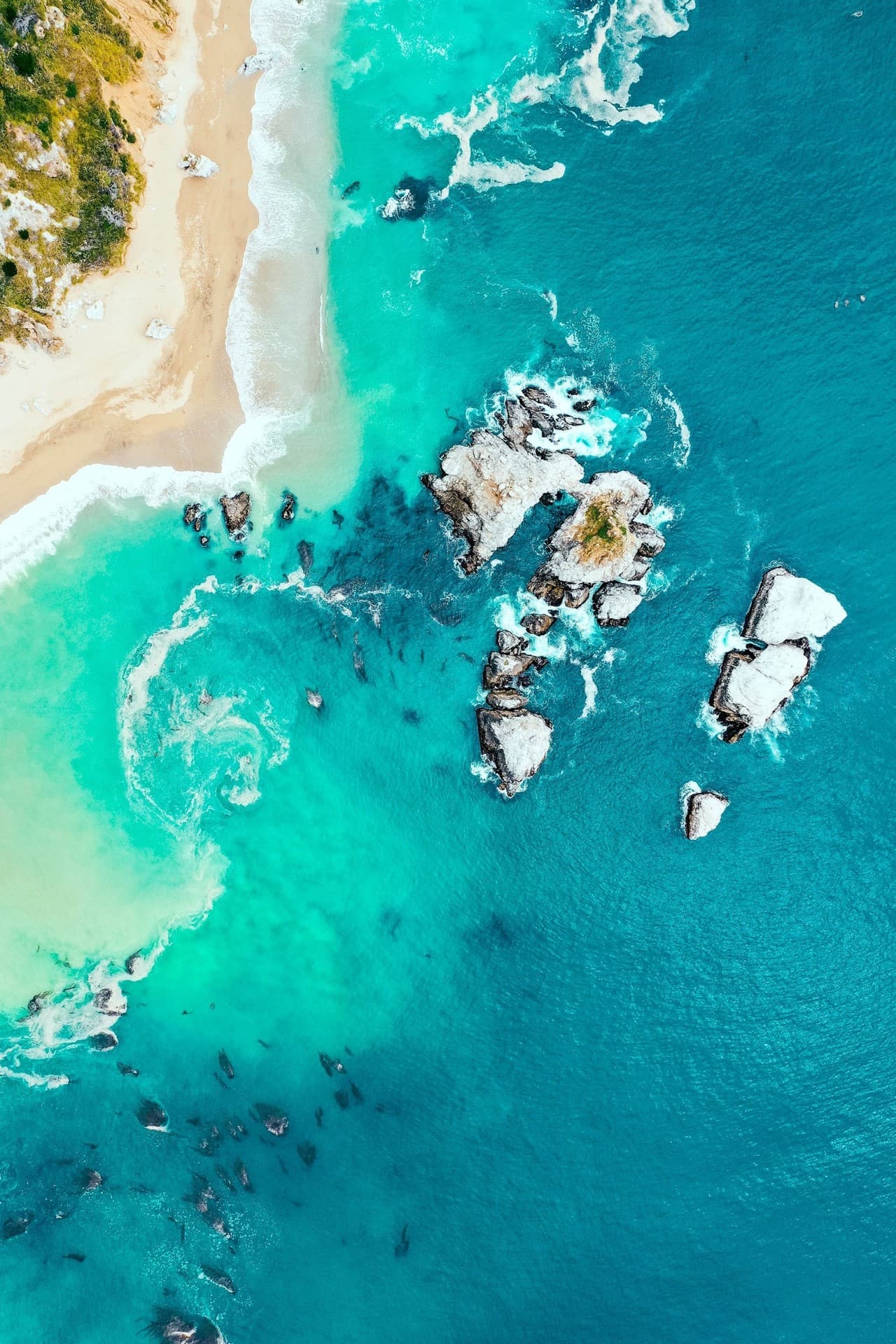 Ocean