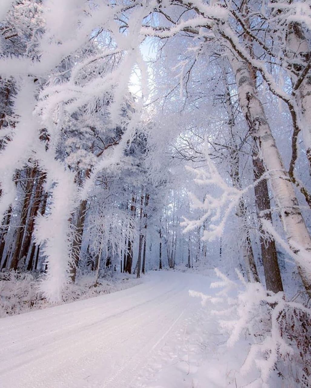İCE!!!+SNOW