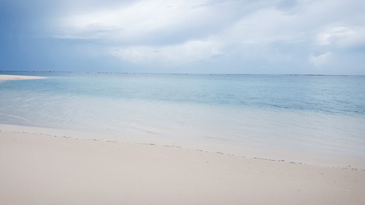 the beach