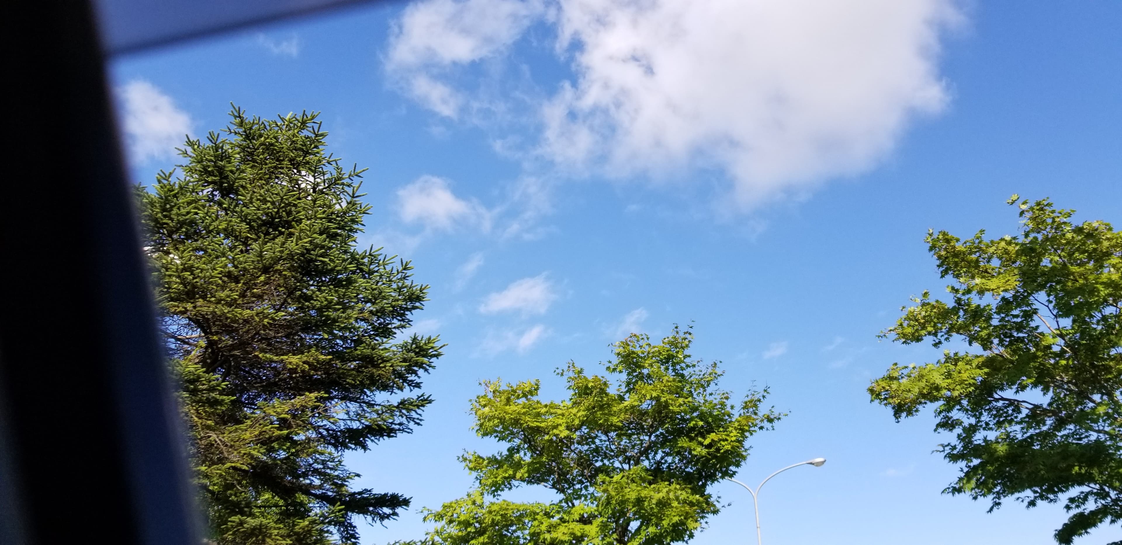 清んだ空