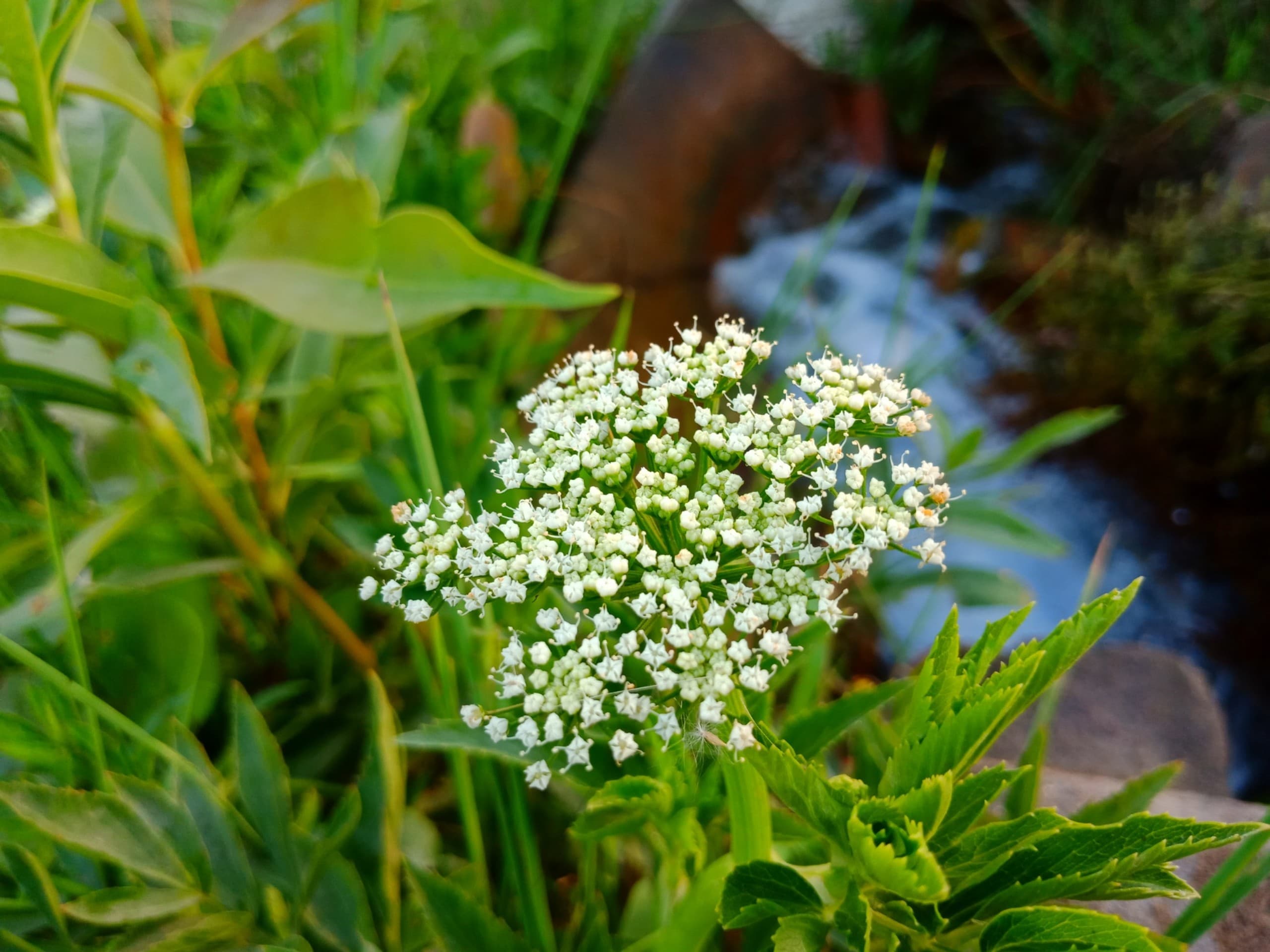 Bead Flower