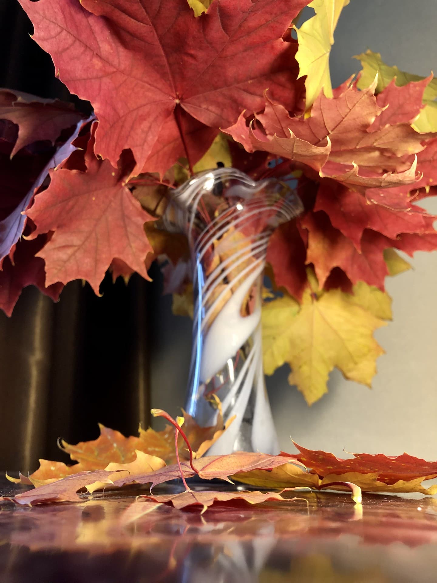 Red and yellow leaves in the vase.