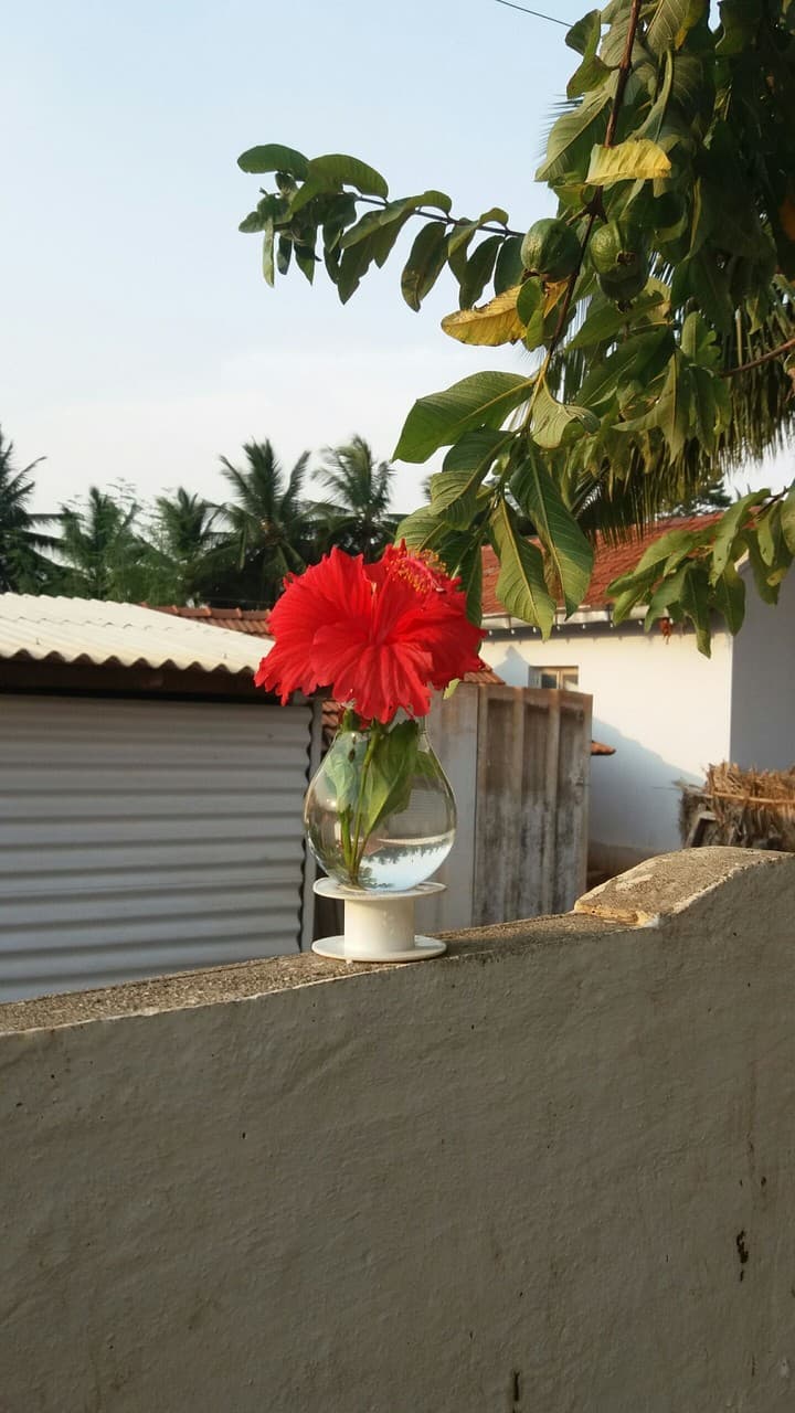 flower