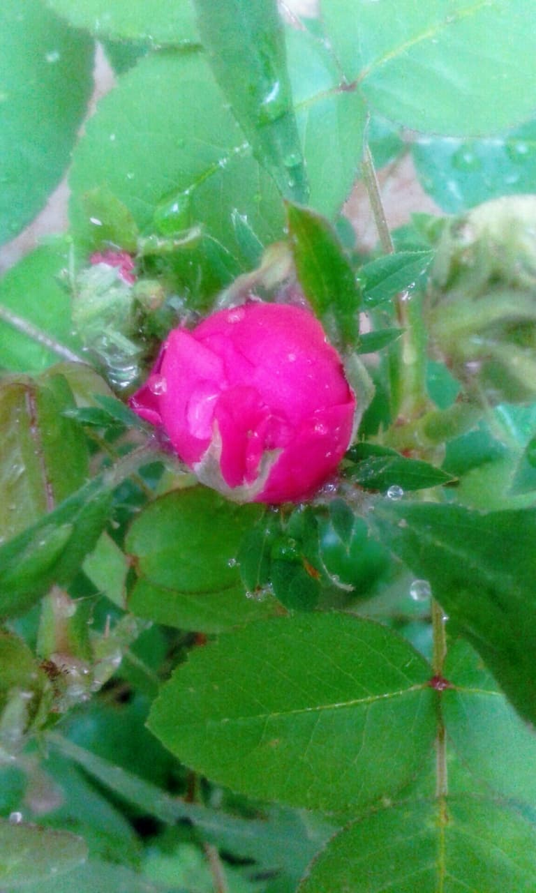 my photo